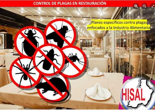 Hisal. Control de plagas Almería. Empresa de fumigación.