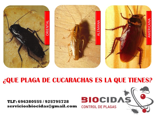 BIOCIDAS CONTROL DE PLAGAS. DESINFECCIÓN, DESINSECTACIÓN, DESRATIZACIÓN.