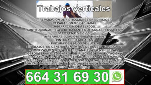 Servicios control plagas Murcia