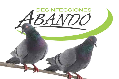 Desinfecciones Abando