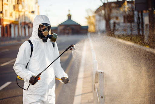 Plaguinsa Tratamiento Termitas Fumigación Cucarachas