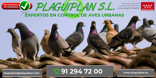 PLAGUIPLAN