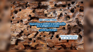 Zoocontrol