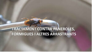 PlaguiSystem - SISTEMES EN CONTROL DE PLAGUES S.L.