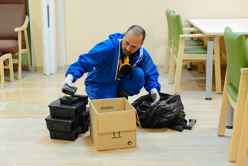 Servicio de Limpieza, Control de Plagas y Mantenimiento El Saliente