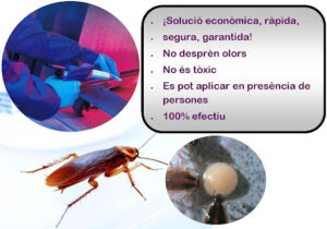 Fumigaciones Mape control de plagas Barcelona