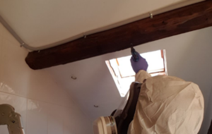 Ecoplagas Control Integrado