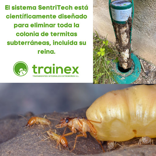 Trainex - Control de Plagas y Sanidad Ambiental