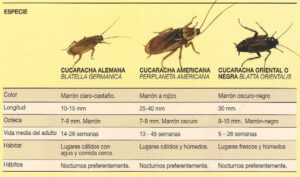 Kisal Sanidad Ambiental