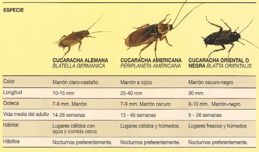 Kisal Sanidad Ambiental