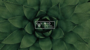 BIO