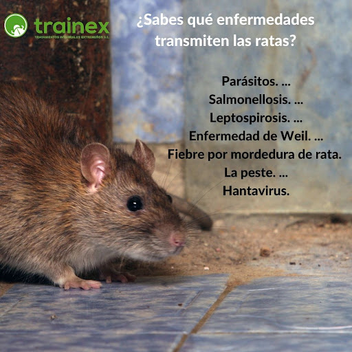 Trainex - Control de Plagas y Sanidad Ambiental