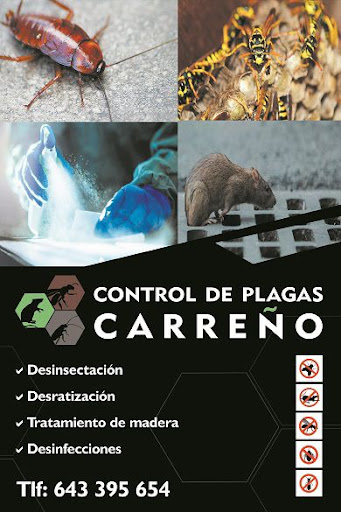 Control de Plagas Murcia