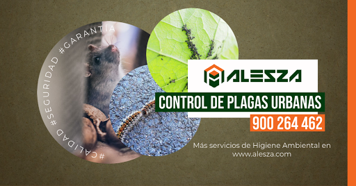 Alesza Services