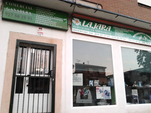 LAJARA Control de Plagas