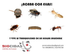 CONTROL DE PLAGAS MOSTOLES. DESINFECCIÓN, DESINSECTACIÓN, DESRATIZACIÓN.