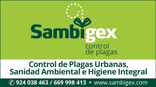 SAMBIGEX - CONTROL DE PLAGAS , DESINFECCIÓN Y PREVENCIÓN DE LEGIONELLA