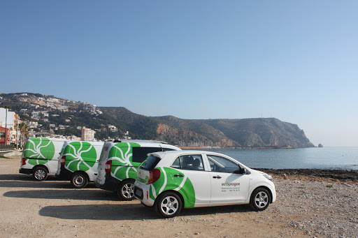 Control de plagas Jávea Tratamiento de madera - ECOPLAGAS