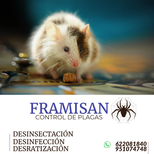 FRAMISAN Control de plagas Málaga