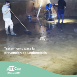 Gimasur - Plagas y legionella en Málaga