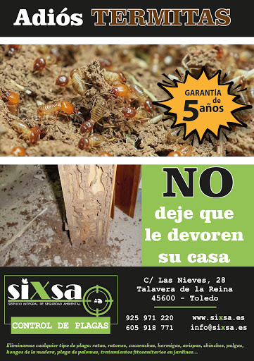 siXsa - Seguridad Ambiental. CONTROL DE PLAGAS. Los auténticos expertos en termitas y carcoma.