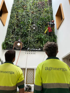Agronerga