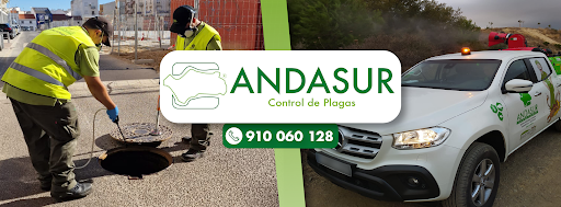 ANDASUR Control de Plagas, S.L.