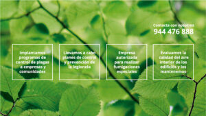 Desinfecciones Sitehisa