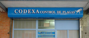 Codexa