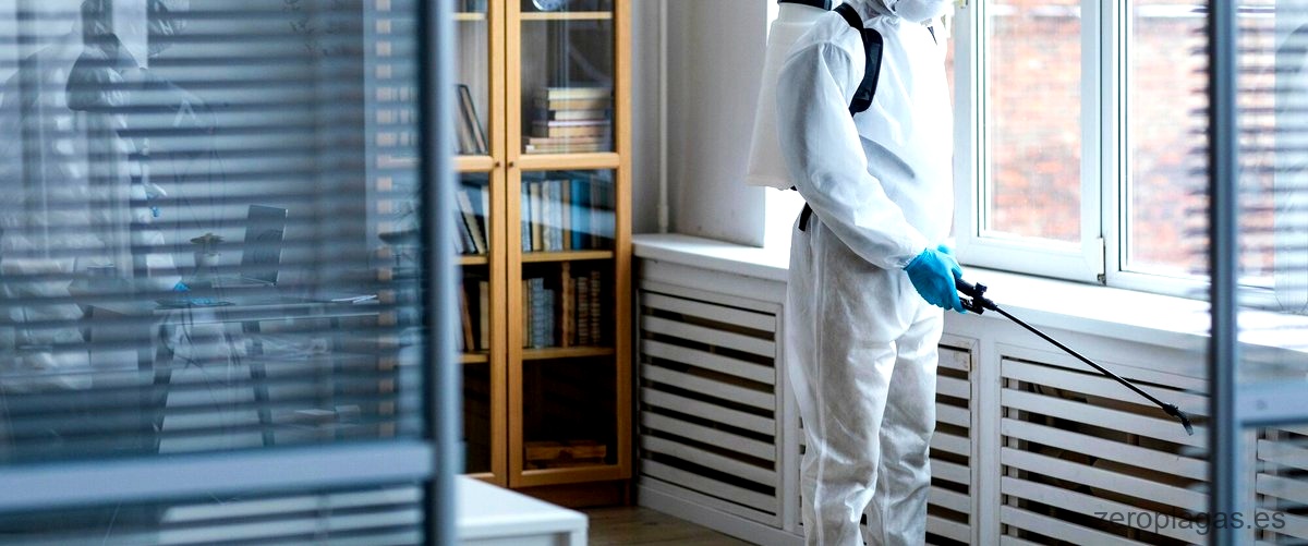 ¿Qué se debe hacer en caso de tener plagas en casa?